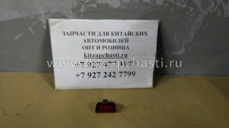 Лампа двери HAVAL H9 4131100XKW09A